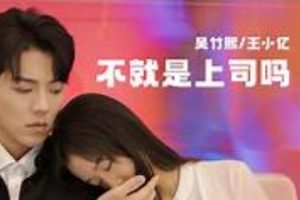 不就是上司嘛（80集）王小亿 吴竹熙