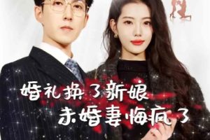 婚礼换了新娘未婚妻悔疯了（30集）