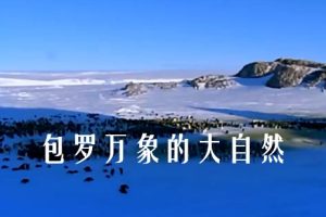 包罗万象的大自然[全1集][BBC纪录片][英语中字][1080P]