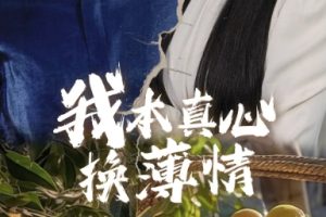 我本真心换薄情（49集）