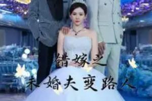 错嫁之未婚夫变路人（55集）