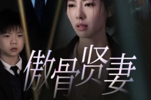 傲骨贤妻（52集）