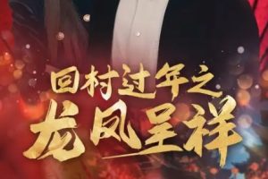 回村过年之龙凤呈祥（47集）