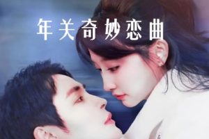 租个钻石男友回家过年-年关奇妙恋曲（65集）王嘉禾 邹柯俊