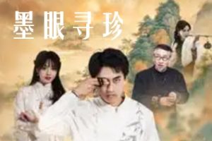 墨眼寻珍（87集）