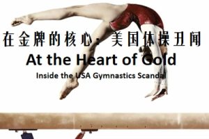 在金牌的核心：美国体操丑闻 At the Heart of Gold: Inside the USA Gymnastics Scandal (2019)