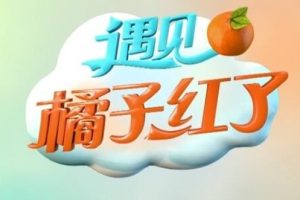 遇见橘子红了[4集][央视纪录片][国语中字][1080P]