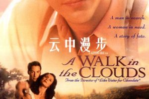 云中漫步 A Walk in the Clouds (1995)