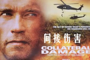 间接伤害 Collateral Damage (2002)