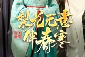 梨花无意伴春寒（63集）宗沐一＆于小婉儿