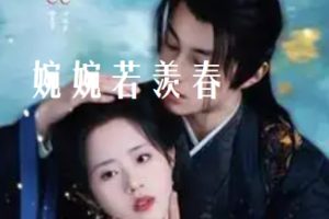 婉婉若羡春（80集）张屹杨＆陈云汐