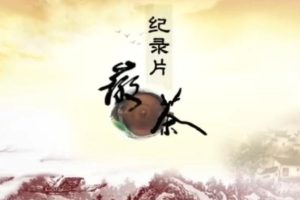 徽茶 2013[BTV纪录片][2集][国语配音中文字幕][720P]